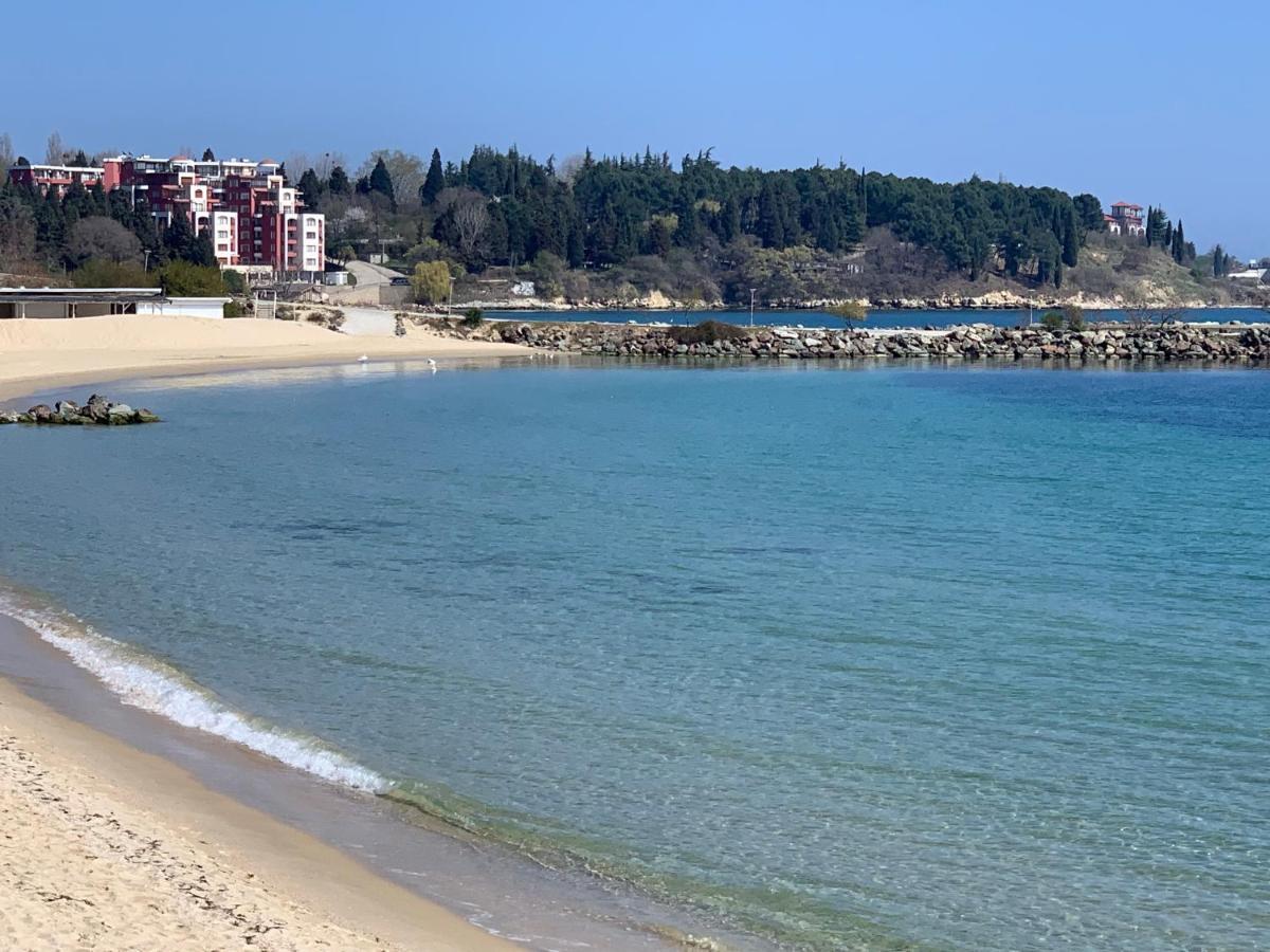 Elizabeth Beach Apartments 内塞伯尔 外观 照片